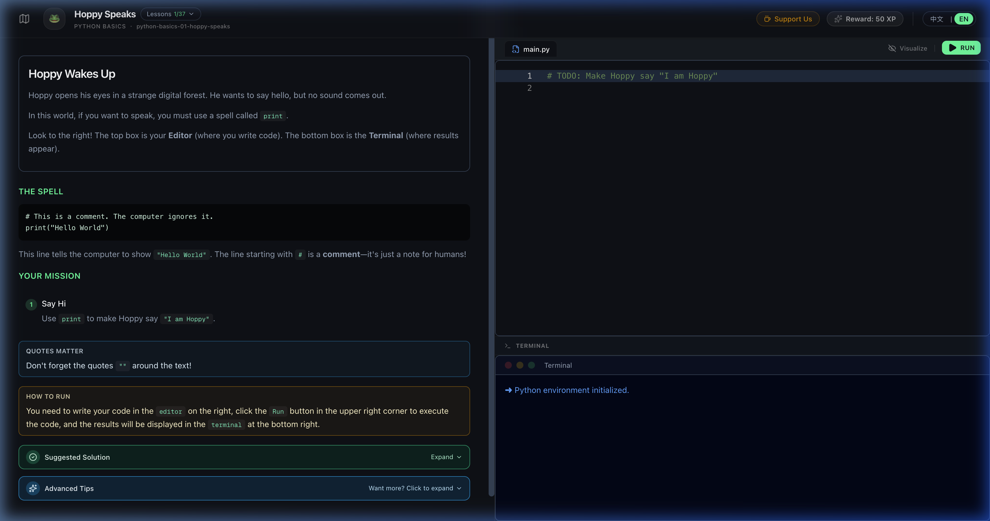 HoppyPy browser-first playground