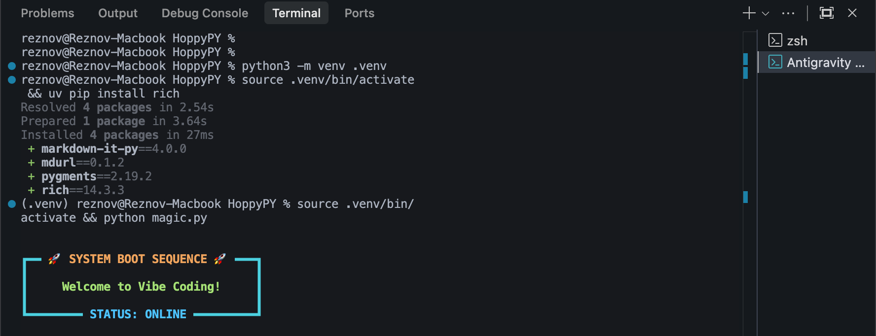 Rich Terminal Output